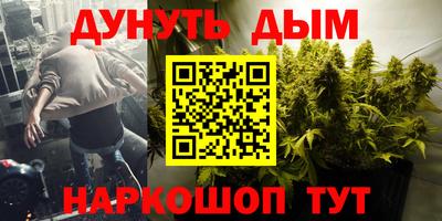 Альфа ПВП Дубна