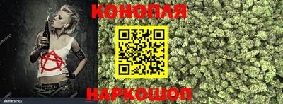 Альфа ПВП Дубна