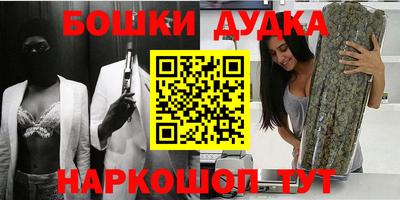 Альфа ПВП Дубна