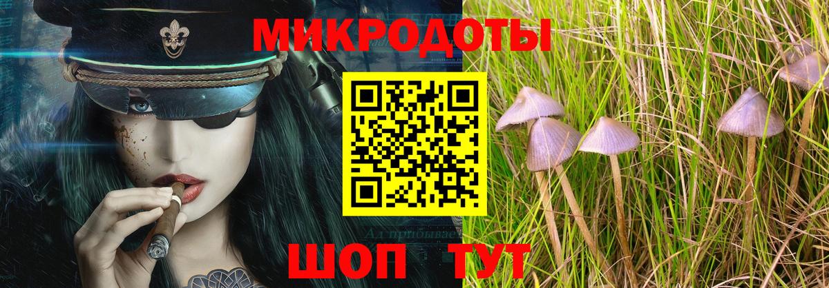 Галлюциногенные грибы мухоморы  даркнет сайт  Галлюциногенные грибы GOLDEN TEACHER  Искитим  Вход с VPN 